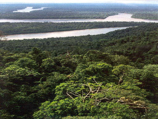Áreas Protegidas e Ecoturismo Amazónico: Integrando o Capitalismo e a