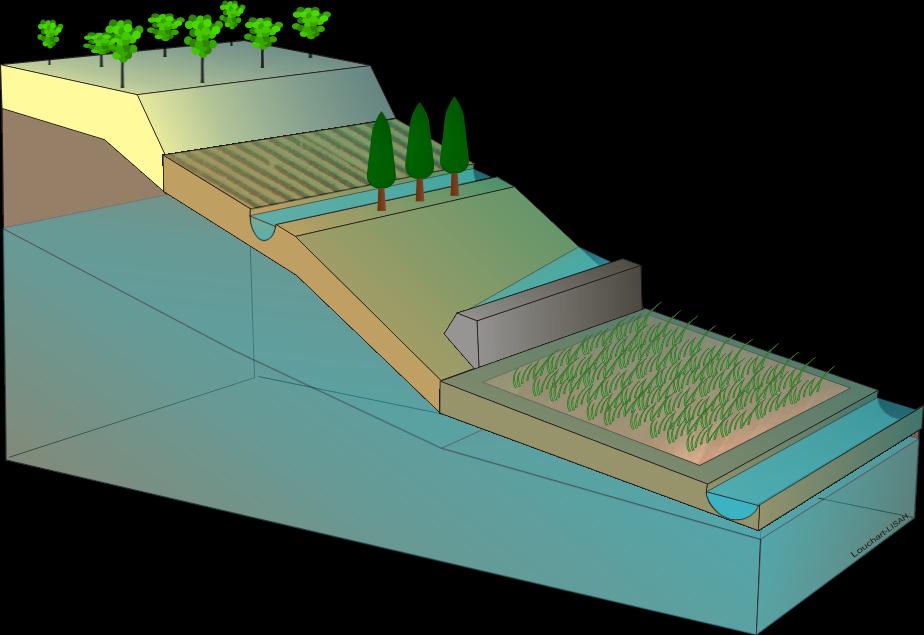 Varias vías de transferencias a escala de la cuenca Influencia de la antropización (ocupación y manejo del suelo.