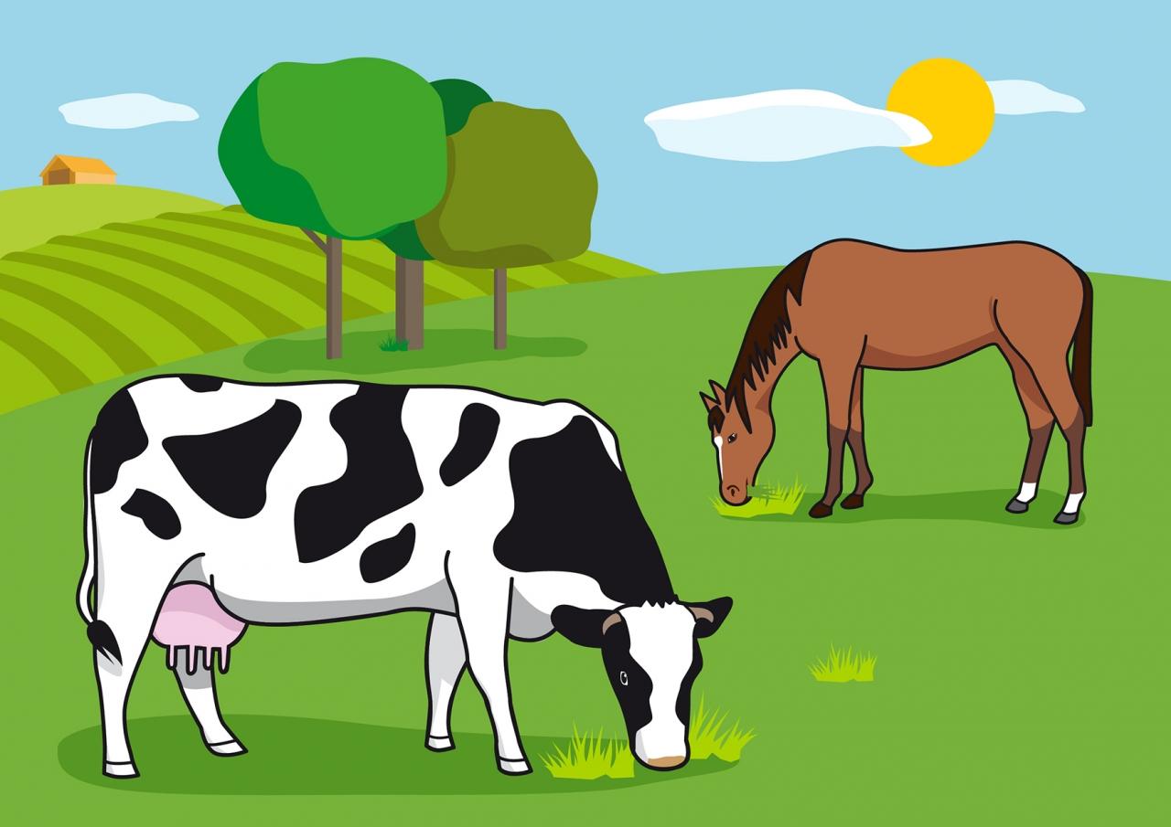 Un caballo y una vaca Una vaca Qué