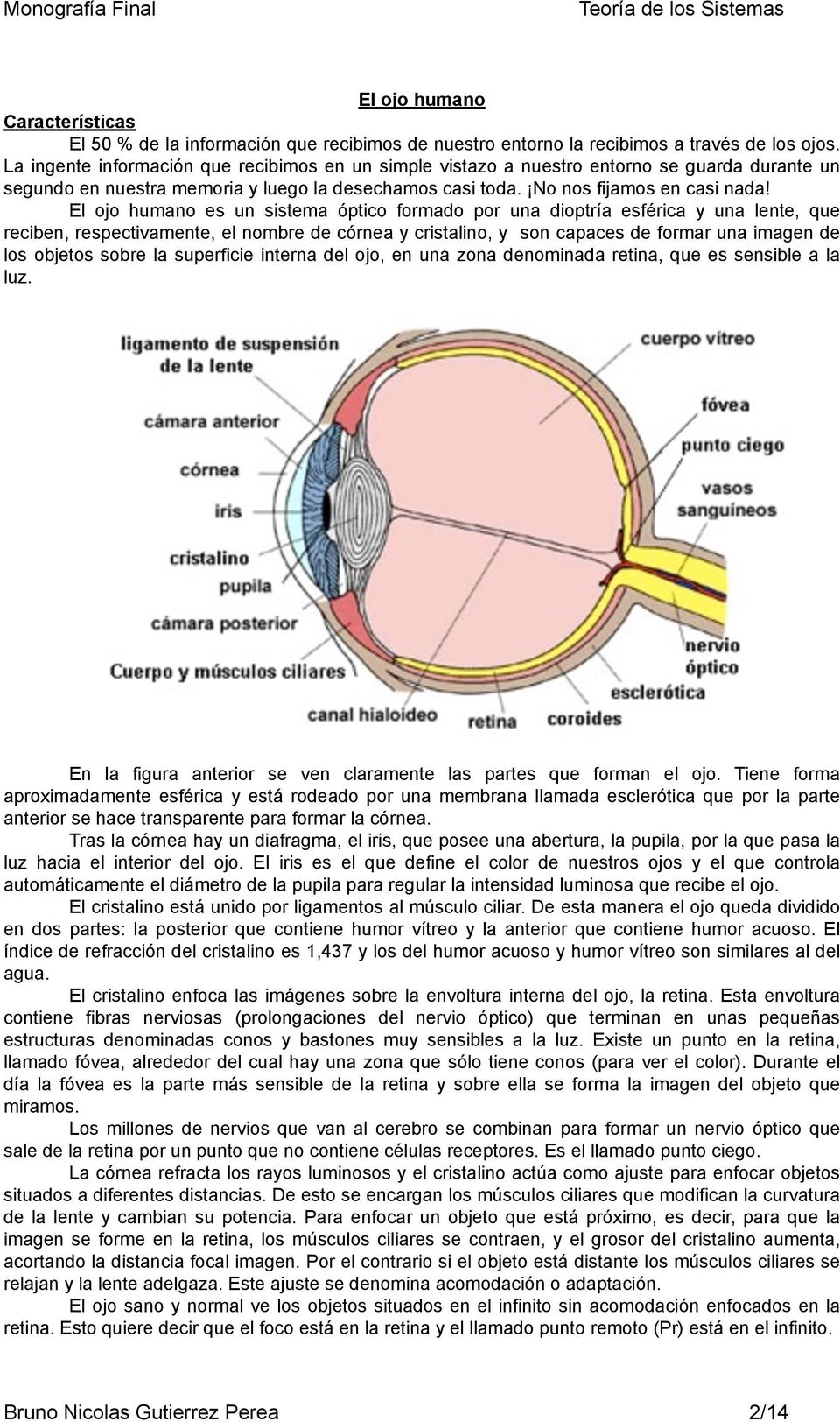 El ojo humano es un sistema óptico formado por una dioptría esférica y una lente, que reciben, respectivamente, el nombre de córnea y cristalino, y son capaces de formar una imagen de los objetos