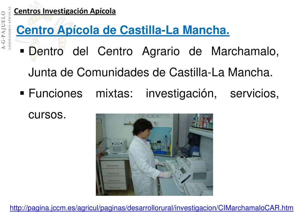 Castilla-La Mancha. Funciones mixtas: investigación, servicios, cursos.