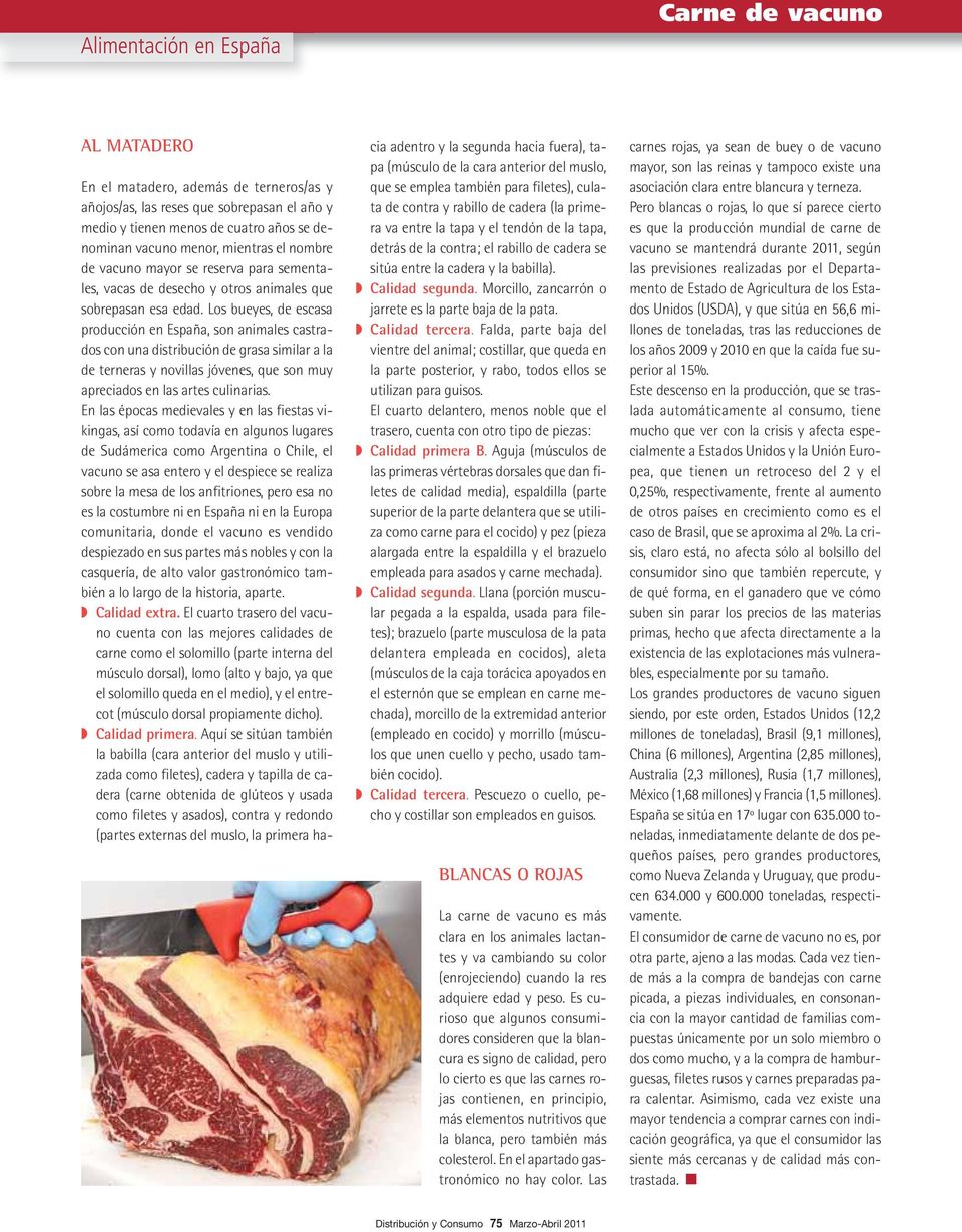 Los bueyes, de escasa producción en España, son animales castrados con una distribución de grasa similar a la de terneras y novillas jóvenes, que son muy apreciados en las artes culinarias.