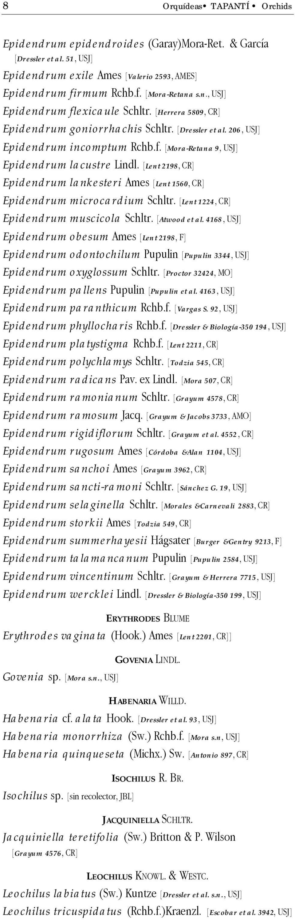 [Lent 2198, CR] Epidendrum lankesteri Ames [Lent 1560, CR] Epidendrum microcardium Schltr. [Lent 1224, CR] Epidendrum muscicola Schltr. [Atwood et al.