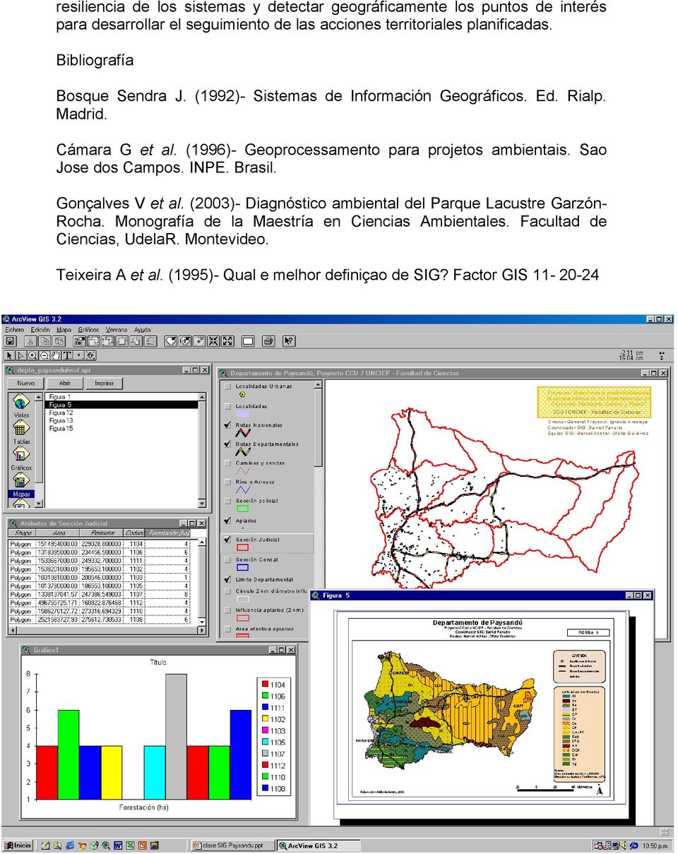 (1996)- Geoprocessamento para projetos ambientais. Sao Jose dos Campos. INPE. Brasil. Gonçalves V et al.