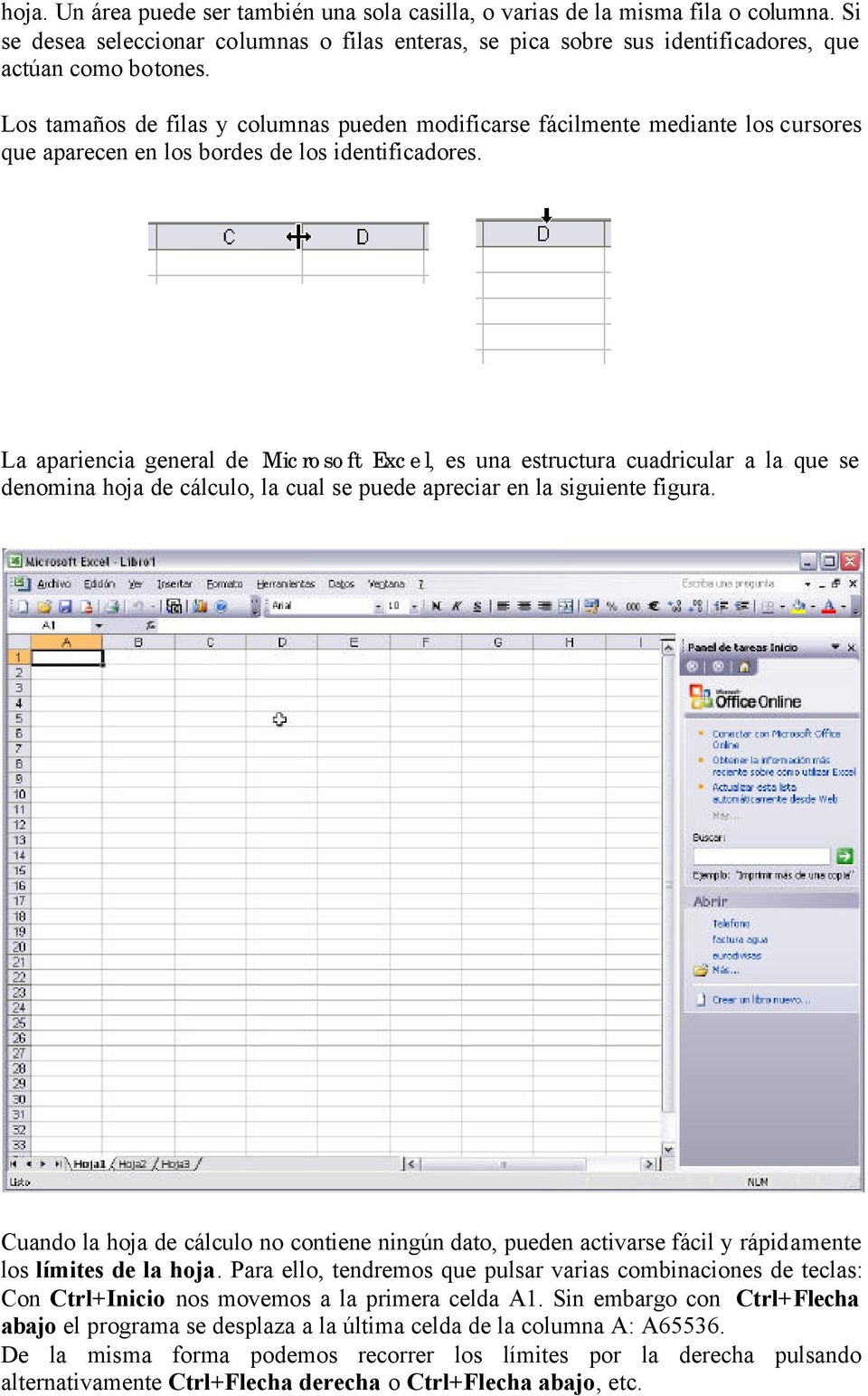 La apariencia general de Microsoft Excel, es una estructura cuadricular a la que se denomina hoja de cálculo, la cual se puede apreciar en la siguiente figura.