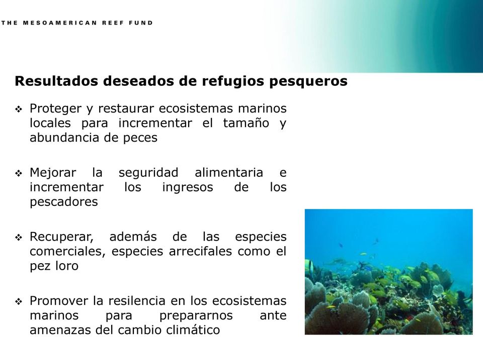 ingresos de los pescadores Recuperar, además de las especies comerciales, especies arrecifales como