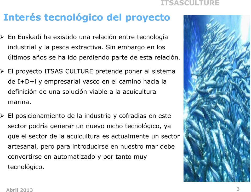 El proyecto ITSAS CULTURE pretende poner al sistema de I+D+i y empresarial vasco en el camino hacia la definición de una solución viable a la acuicultura