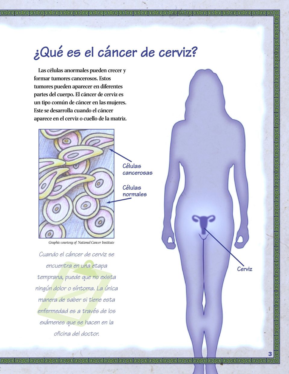 Este se desarrolla cuando el cáncer aparece en el cerviz o cuello de la matriz.
