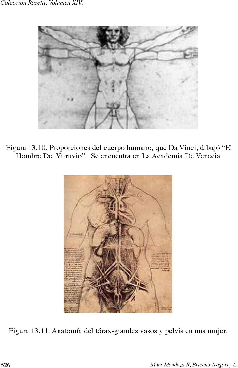 Vitruvio. Se encuentra en La Academia De Venecia. Figura 13.11.