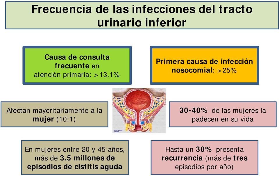 1% Primera causa de infección nosocomial: >25% Afectan mayoritariamente a la mujer (10:1) 30-40%