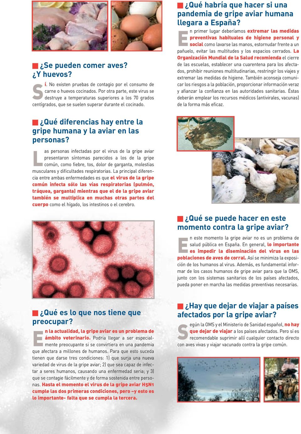 Qué habría que hacer si una pandemia de gripe aviar humana llegara a España?