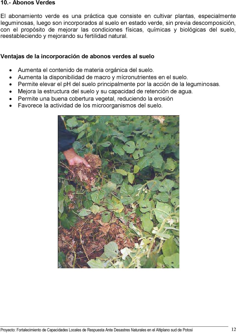 Ventajas de la incorporación de abonos verdes al suelo Aumenta el contenido de materia orgánica del suelo. Aumenta la disponibilidad de macro y mícronutrientes en el suelo.