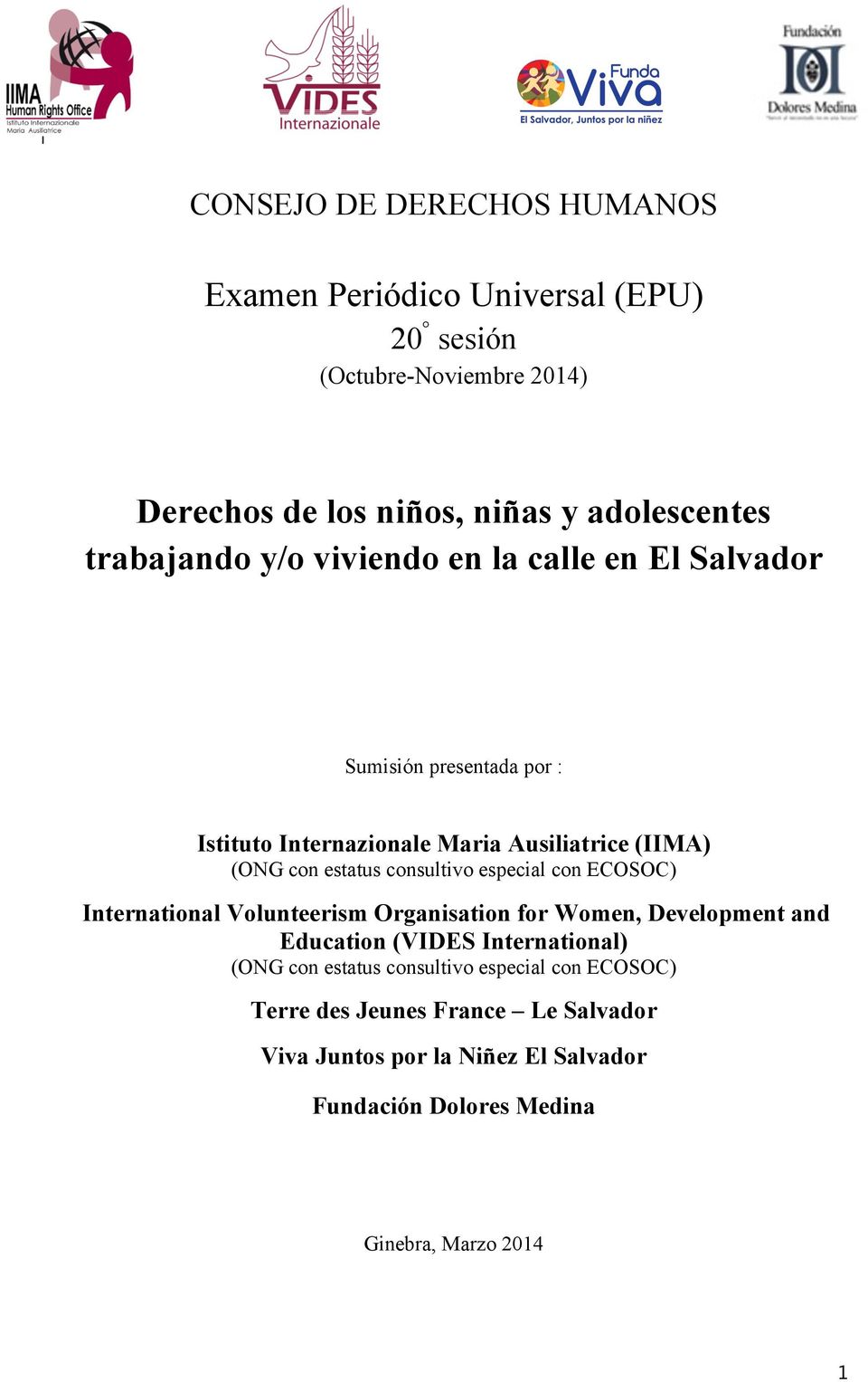 consultivo especial con ECOSOC) International Volunteerism Organisation for Women, Development and Education (VIDES International) (ONG con