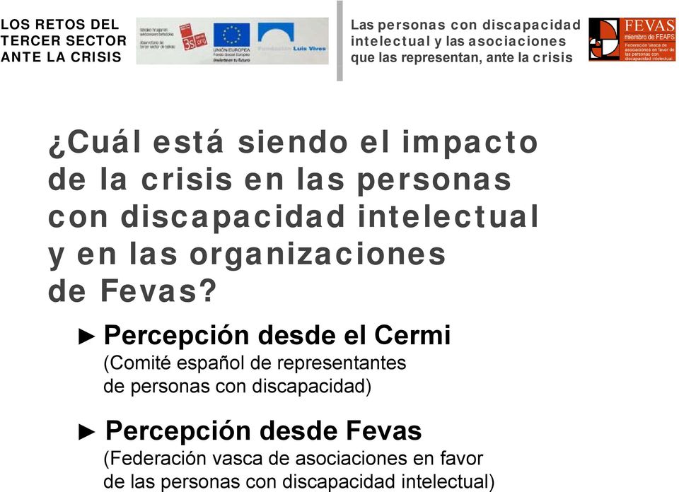 Percepción desde d el Cermi (Comité español de representantes de personas con