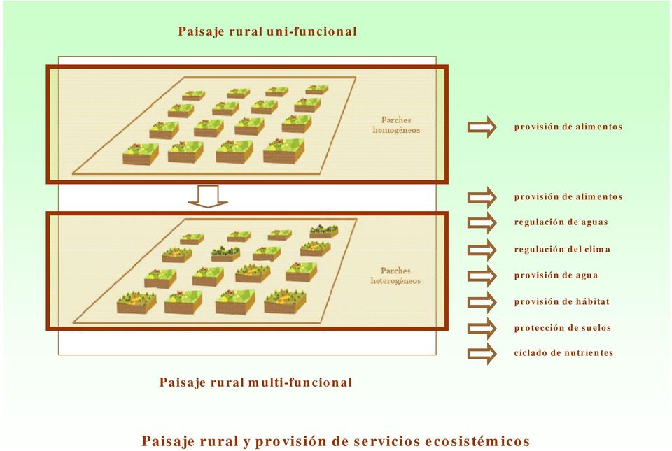 provisión de hábitat protección de suelos ciclado de nutrientes Paisaje