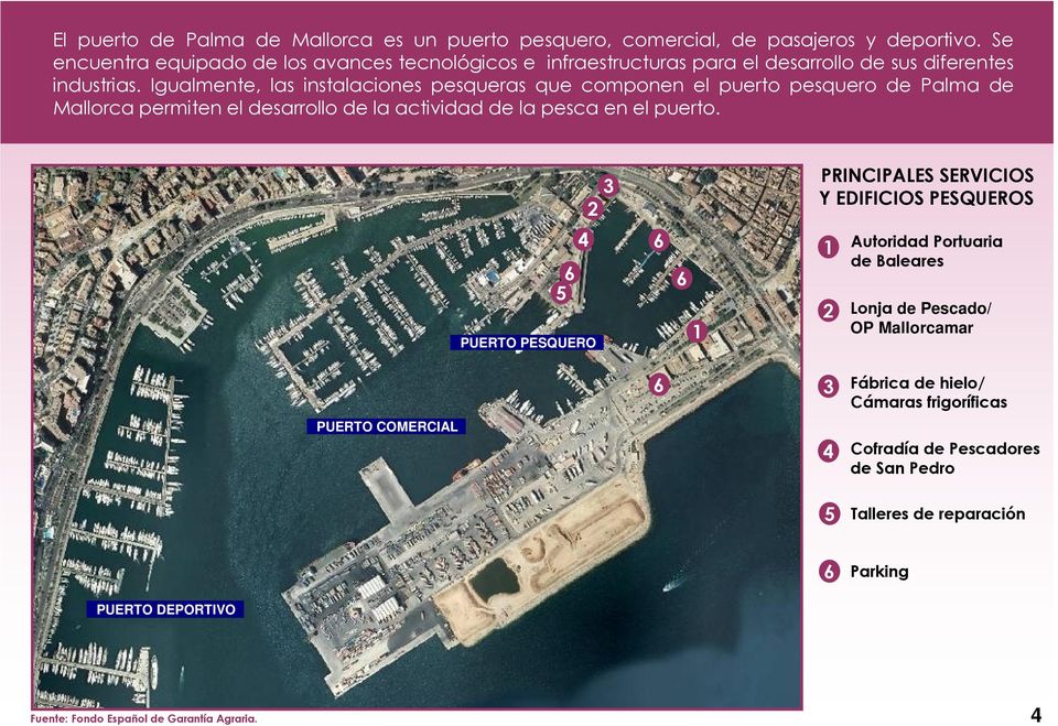 Igualmente, las instalaciones pesqueras que componen el puerto pesquero de Palma de Mallorca permiten el desarrollo de la actividad de la pesca en el puerto.