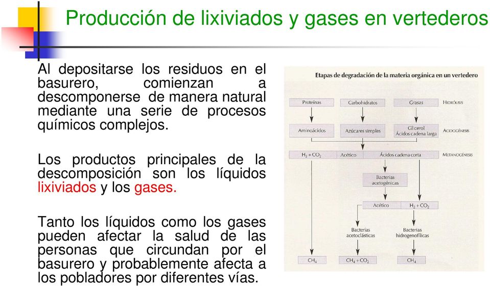 Los productos principales de la descomposición son los líquidos lixiviados y los gases.
