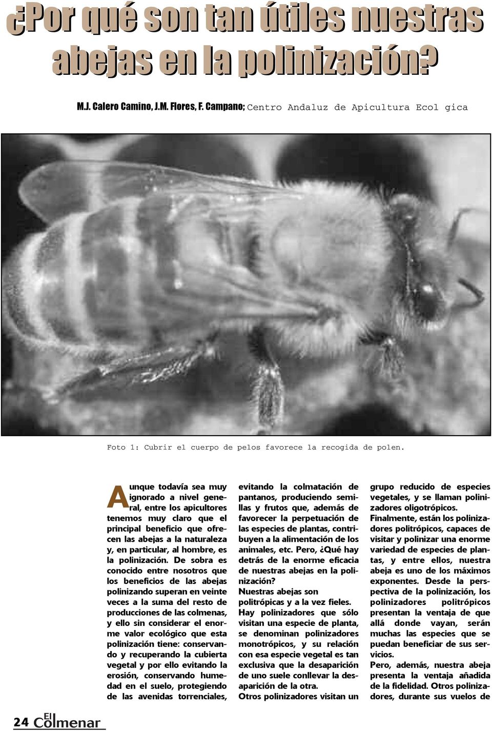 A unque todavía sea muy ignorado a nivel general, entre los apicultores tenemos muy claro que el principal beneficio que ofrecen las abejas a la naturaleza y, en particular, al hombre, es la