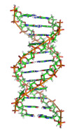 Introducción Biológica - Cromosomas La información genética se almacena en los cromosomas Cada cromosoma está compuesto de ADN Los cromosomas en los humanos forman