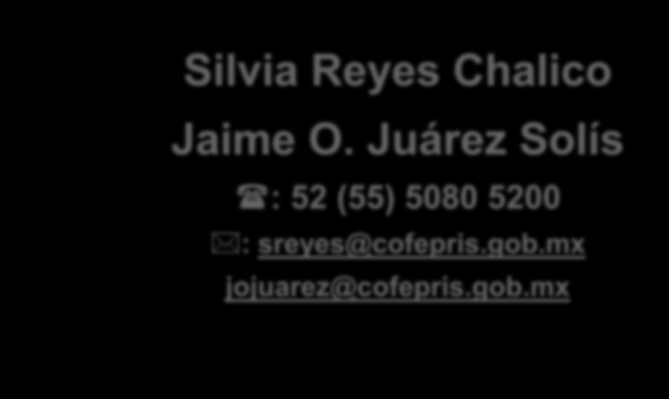 Silvia Reyes Chalico Jaime O.
