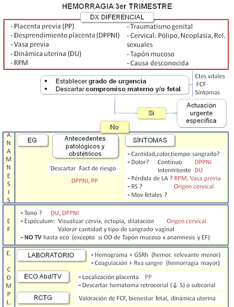 ANEXO 2 TABLA DE DIAGNOSTICO DIFERENCIAL 34.