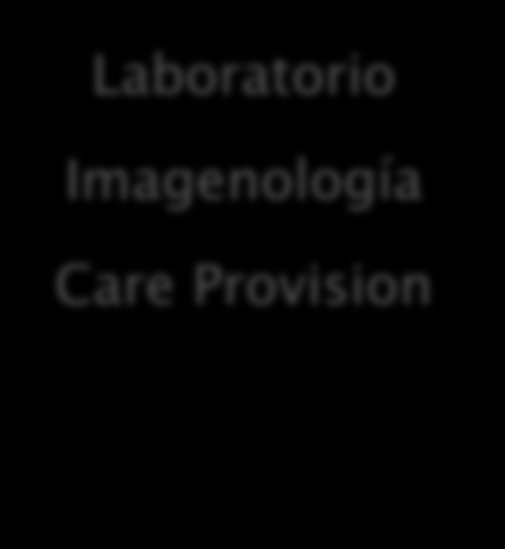 Care Provision (PLIIS) Plataforma Integral de Información en Salud Consulta externa Agenda / Citas