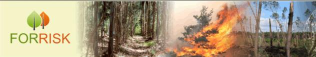 Presentación del proyecto FORRISK Red para el desarrollo de sistemas de integración del riesgo en la gestión y la práctica forestal PROGRAMA INTERREG IVB SUDOE FORRISK SOE3/P2/F523 http://forrisk.