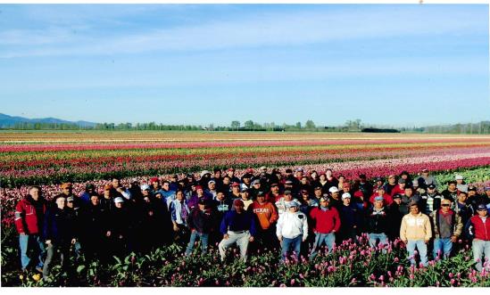 Subprogramas Trabajadores Agrícolas Temporales México-Canadá Es una opción para los trabajadores agrícolas mexicanos que cuenten con amplia experiencia laboral en actividades del campo y que