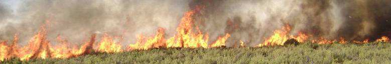 BOLETIN DE SEGUIMIENTO DE LOS INCENDIOS FORESTALES EN ARAGÓN Nº 7/16 22/07/2016 QUÉ HEMOS TENIDO? Durante el periodo 11-17 de julio se produjeron 15 incendios.