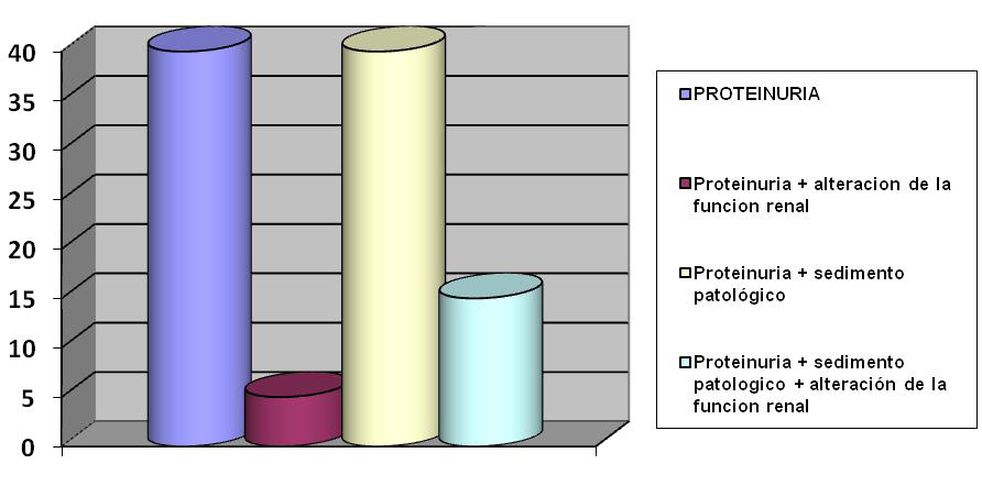 El rol de la biopsia en pacientes con nefritis lupica con alteración de la función renal en 2 biopsia (8,3%); proteinuria con sedimento patológico en 8 biopsias (33,3%); y proteinuria con sedimento