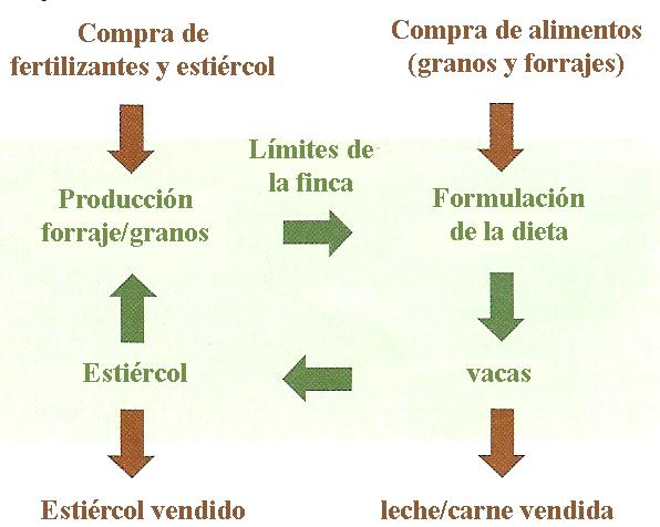 Uso sustentable de nutrientes en operaciones pecuarias Maximizar los productos con una mínima cantidad de insumos Flechas verdes = pasos donde el análisis de
