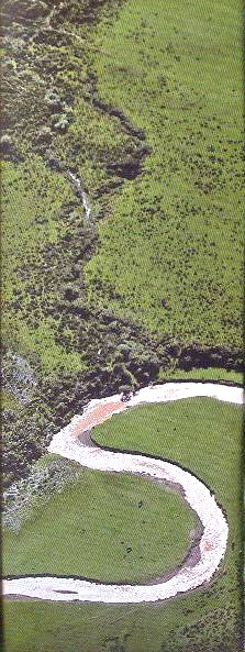Morfología fluvial CORTE DE UN MEANDRO Figura Nº 6 Planta característica de un río a meandros (Leopold).