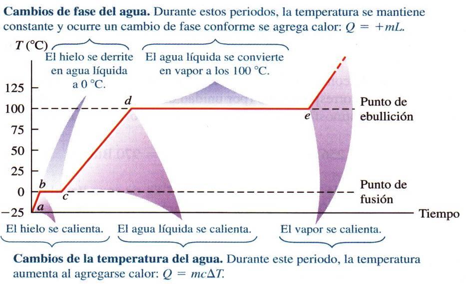 Gráfica de temperatura contra tiempo para una muestra de