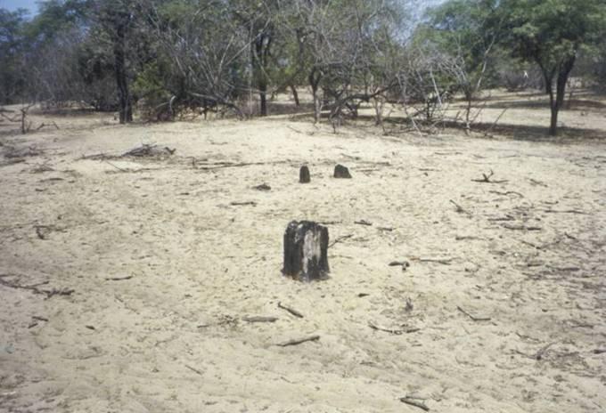 Problemática Pobreza Cambio climático Desertificación