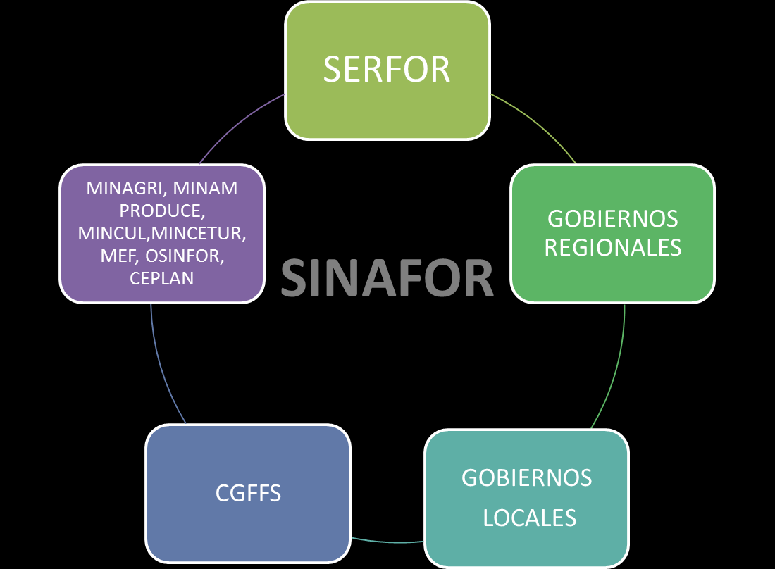 SINAFOR Es un sistema funcional creado para asegurar el desarrollo y ejecución de las políticas públicas, normas e instrumentos respecto a la gestión del patrimonio forestal y de