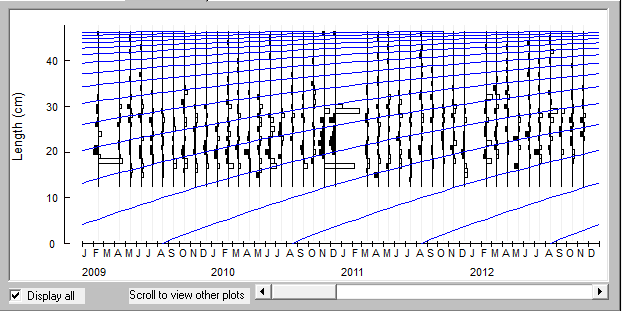 Longitud (cm) Fig. 6. Curvas de crecimiento en longitud de Sciaena deliciosa procedente del Departamento La Libertad en los años 2001 a 2003. Fig. 7.