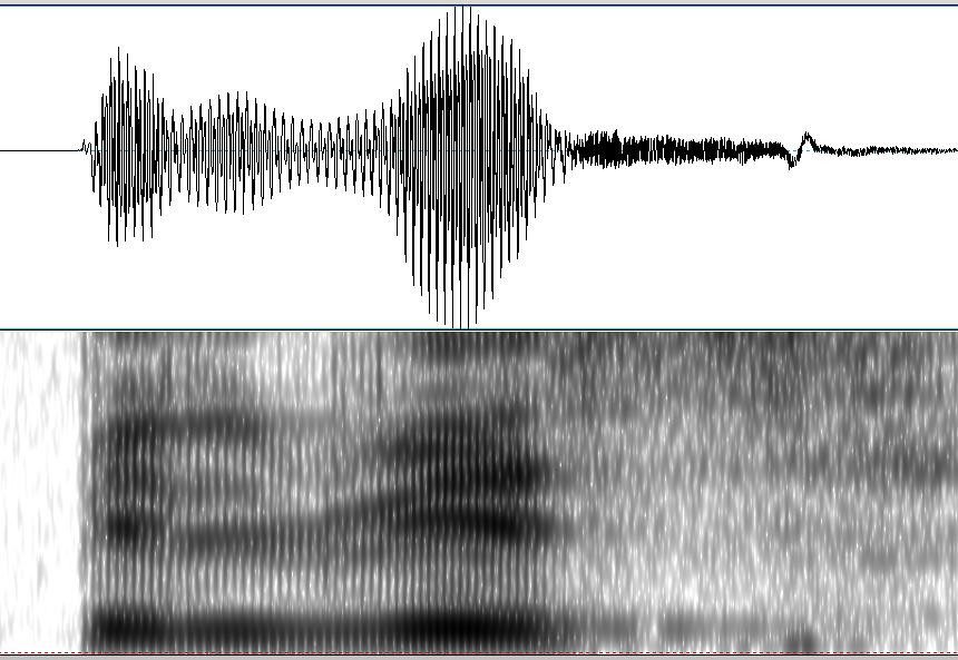 está aproximadamente a la misma altura que el de la vocal [i]. En ambas vocales el F 1 se sitúa a 294.7 Hz. En las grabaciones se pueden escuchar más ejemplos: pino, pato, pozo (1,2.1), pulso (2,3.