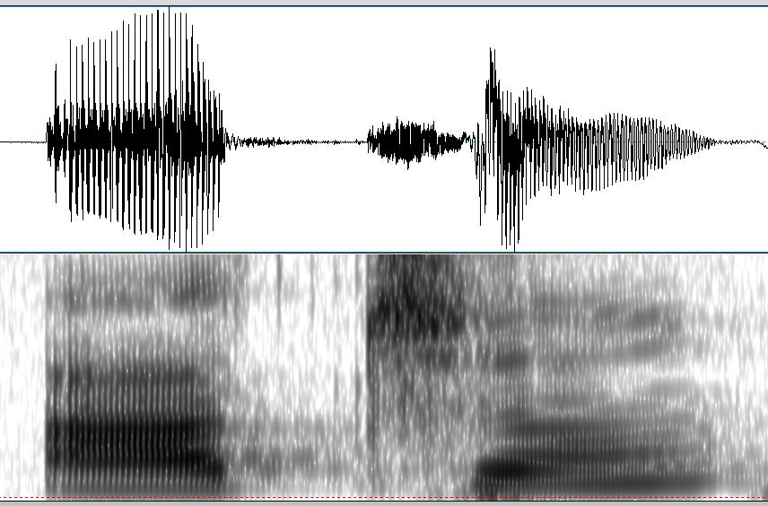 14), turbar (3.2), durar (3.3), segar (3.6), etc. Así pues, se ha comprobado con la grabación que existe un único error en las vocales que afecta a tres sonidos distintos.