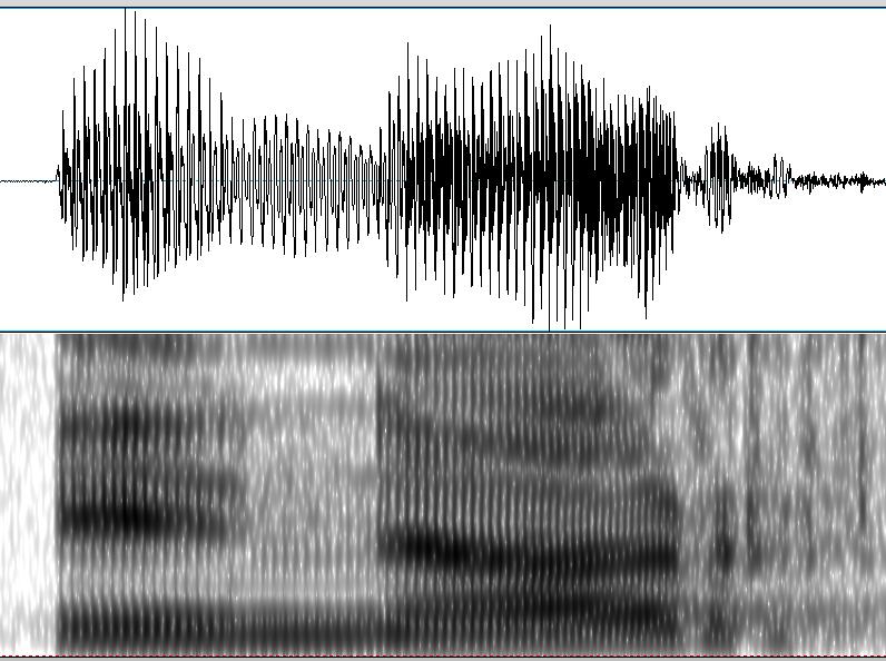 Como se puede observar, el primer sonido que se encuentra en la figura 24 presenta las etapas descritas por Borzone (1980: 109) para una semiconsonante: «estado estable de la vocal inicial,