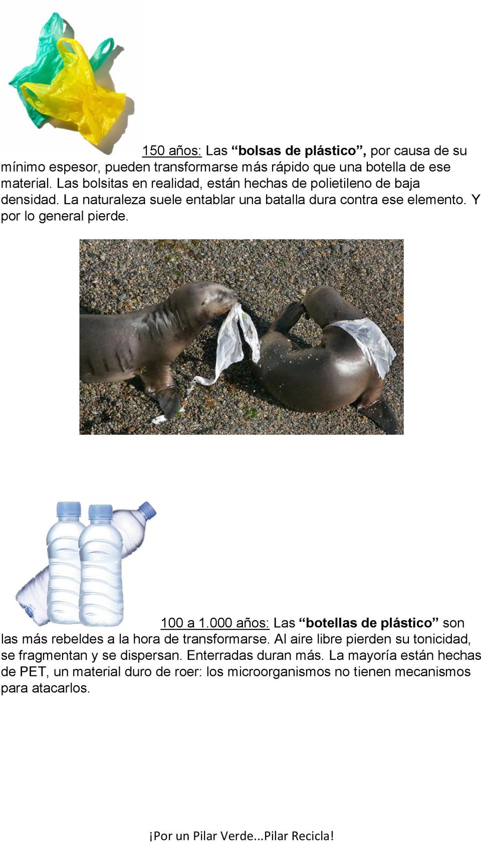 Y por lo general pierde. 100 a 1.000 años: Las botellas de plástico son las más rebeldes a la hora de transformarse.