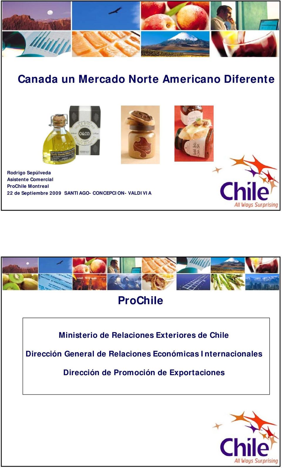 VALDIVIA ProChile Ministerio de Relaciones Exteriores de Chile Dirección