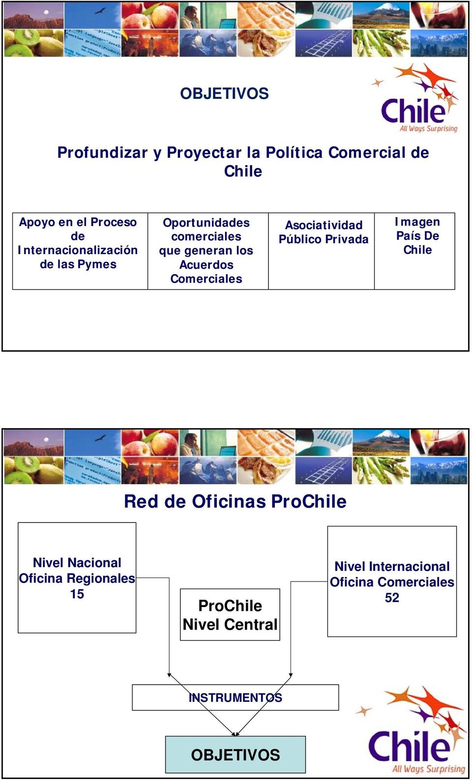Asociatividad Público Privada Imagen País De Chile Red de Oficinas ProChile Nivel Nacional