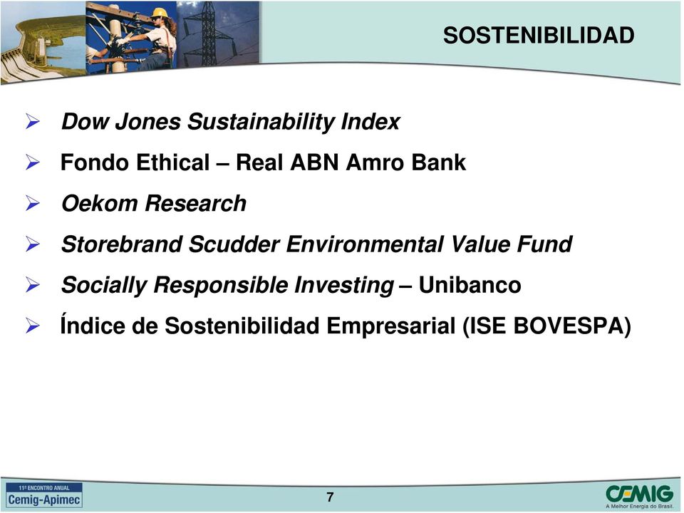 Scudder Environmental Value Fund Socially Responsible
