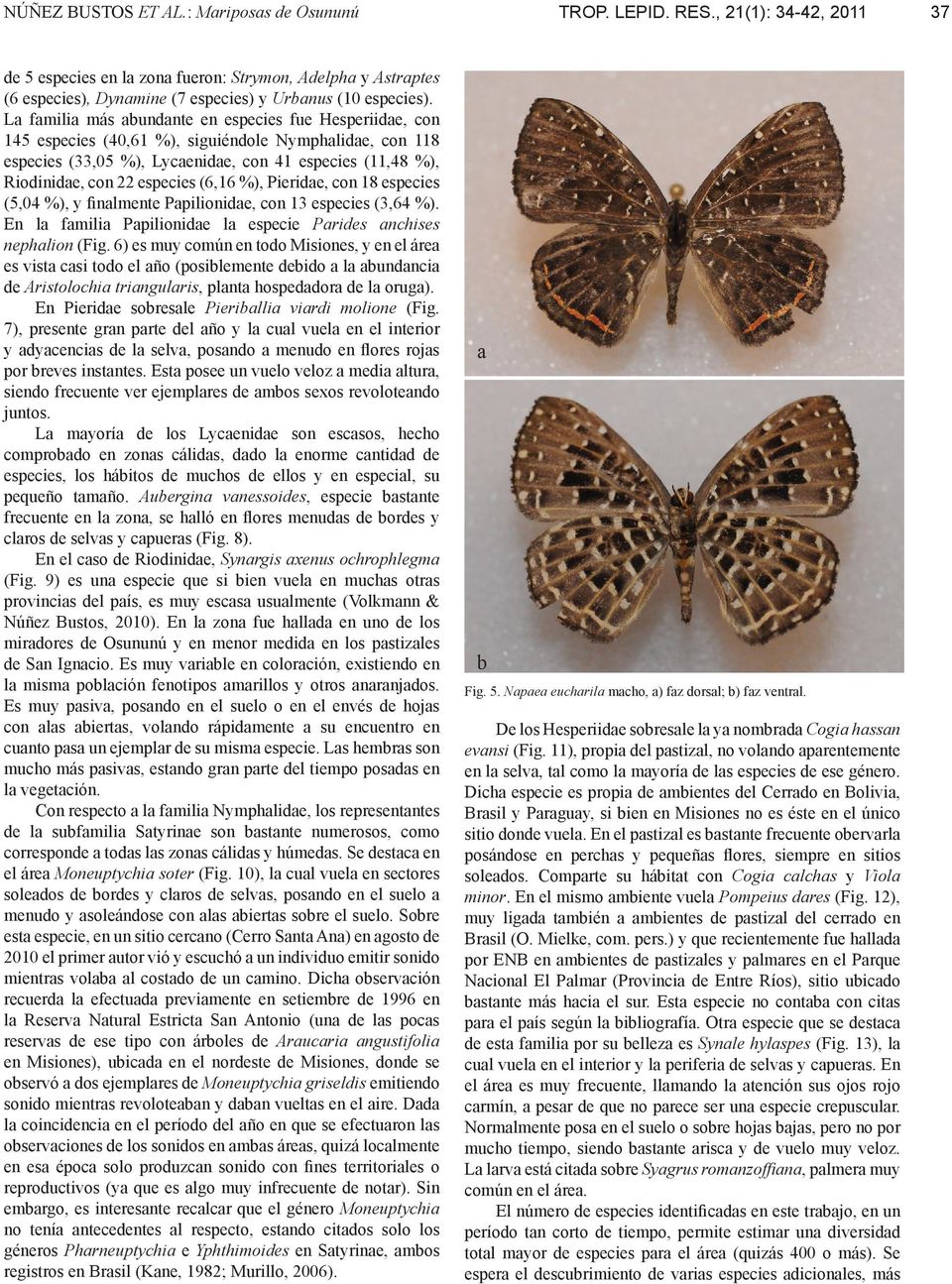 especies (6,16 %), Pieridae, con 18 especies (5,04 %), y finalmente Papilionidae, con 13 especies (3,64 %). En la familia Papilionidae la especie Parides anchises nephalion (Fig.