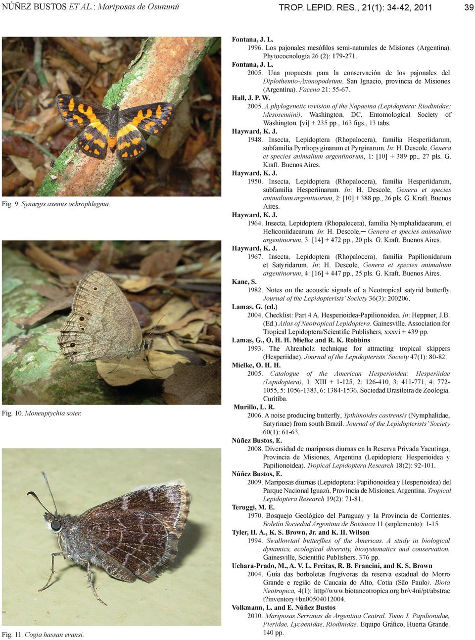 San Ignacio, provincia de Misiones (Argentina). Facena 21: 55-67. Hall, J. P. W. 2005. A phylogenetic revision of the Napaeina (Lepidoptera: Riodinidae: Mesosemiini).
