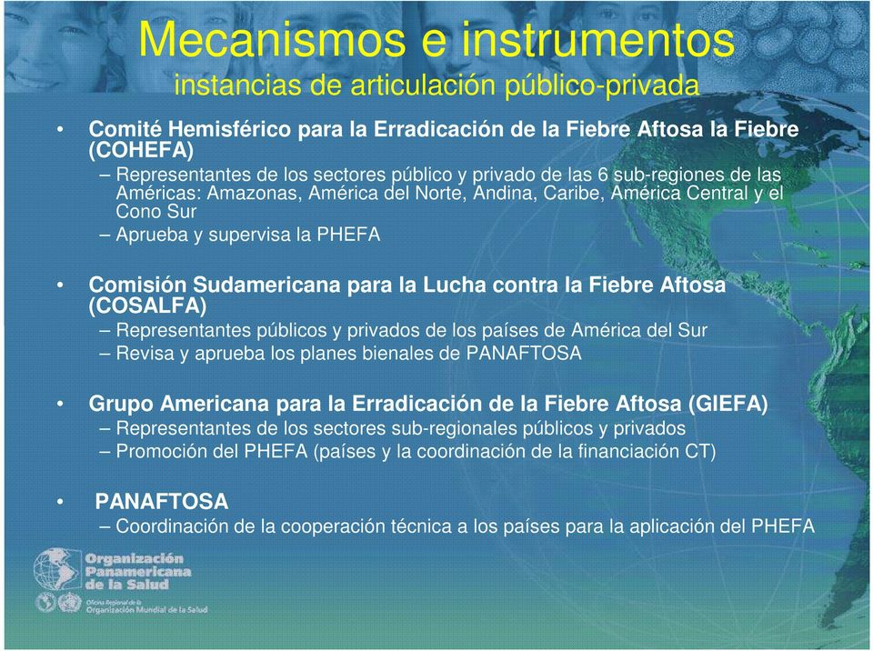 Aftosa Representantes públicos y privados de los países de América del Sur Revisa y aprueba los planes bienales de Grupo Americana para la Erradicación de la Fiebre Aftosa (GIEFA) Representantes