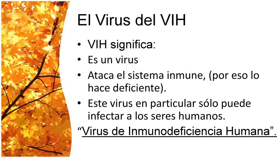 Este virus en particular sólo puede infectar a
