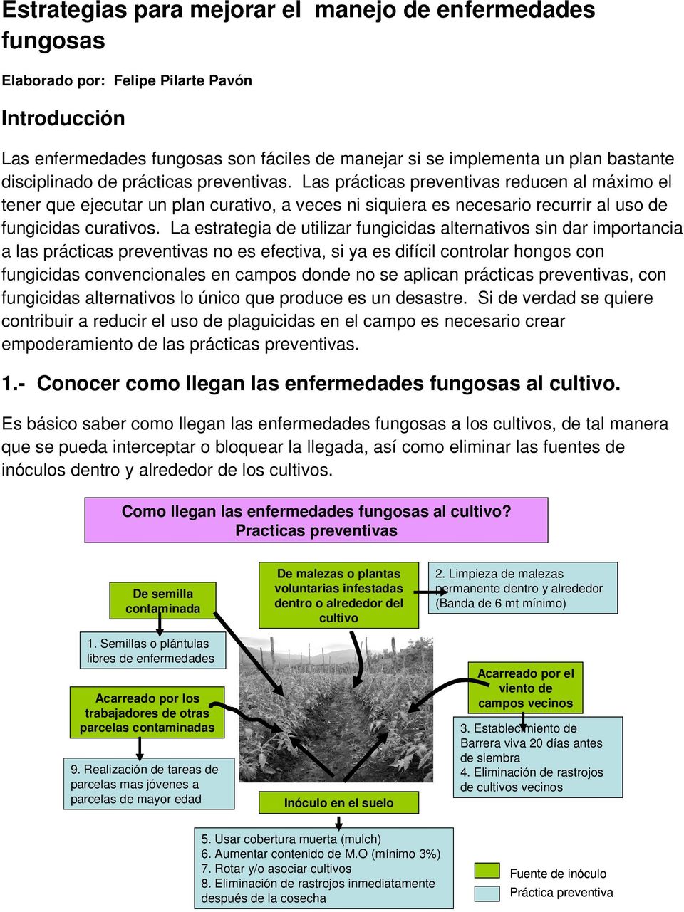 La estrategia de utilizar fungicidas alternativos sin dar importancia a las prácticas preventivas no es efectiva, si ya es difícil controlar hongos con fungicidas convencionales en campos donde no se
