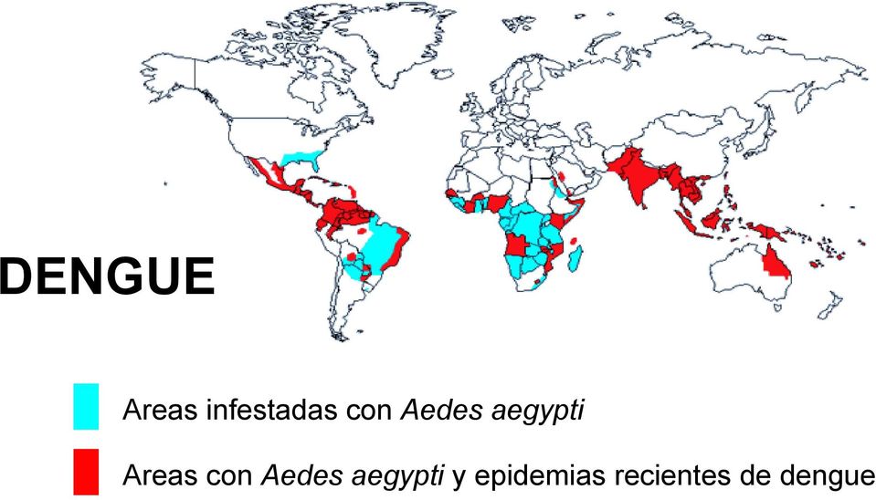 con Aedes aegypti y