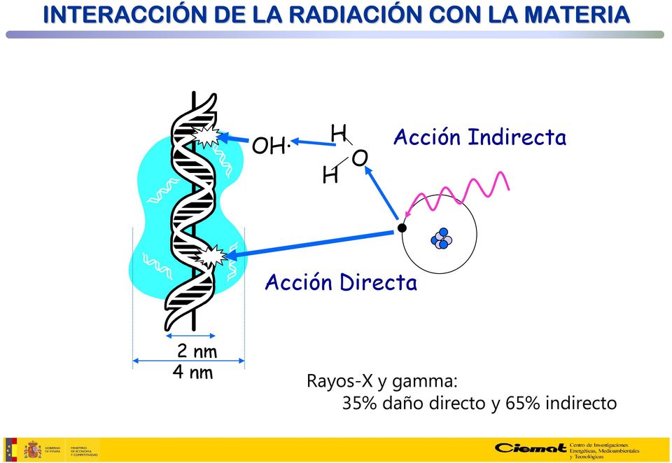 Acción Directa 2 nm 4 nm Rayos-X y